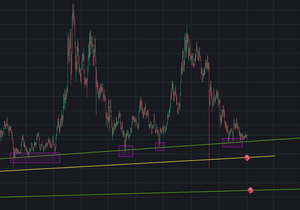 알트코인 2026년도 흐름 예상