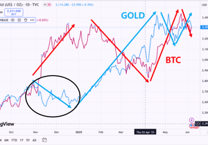 금과 비트코인의 상관관계, 금이 떨어져야 비트가 오른다