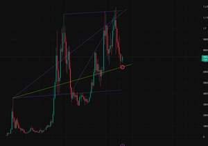 잡알트 코인 펌핑장 시작된다.