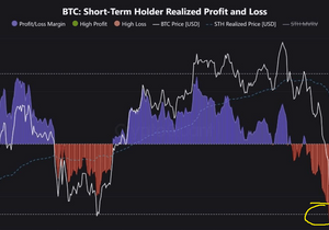 비트코인 단기보유자들은 대부분 손실인 상태