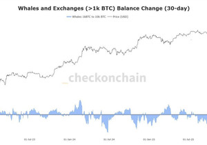 고래들이 #비트코인을 또 대량으로 사들이는 중