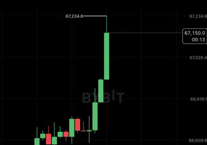 비트코인 6.7만불 찍었다 🚀