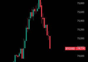 🚨 비트코인 떡락 중