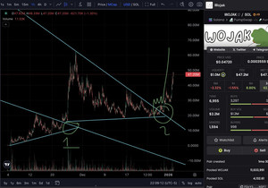 그 비전 리스펙, WOJAK