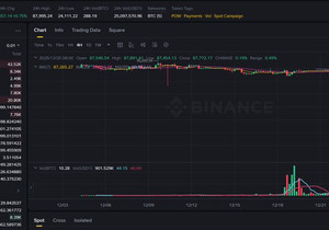 바이낸스 마켓 데이터에 따르면 12월 24일 17시 15분쯤 BTC/USD1 페어에서 짧은 윅이 한 번 찍히…