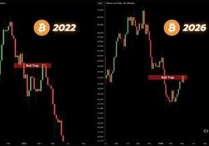 BTC 불트랩에 어서 와. 여긴 개미들이 털리는 곳이야
