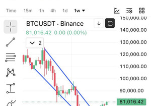 고작 한 달 지났는데 $BTC가 딱 81k네