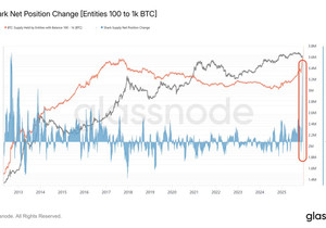 🚨비트코인 고래들, 방금 230억 달러어치 BTC 매수… 13년 만에 최대
