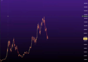 블랙록 퀀트 지인이 방금 이 비트 차트 보내줌. 해석은 각자 하셈