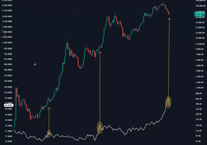 지난 두 번 은값이 정점을 찍었을 때 BTC가 폭등했어.