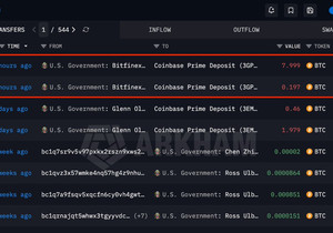 미국 정부, 비트코인 판다