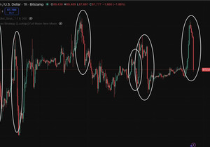 아니 진짜, 비트코인 씨발 지금 뭐가 어떻게 돌아가는 거야