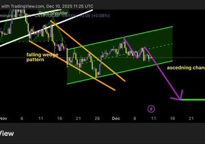 비트코인 도미넌스 깨지는 중