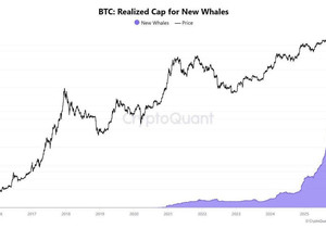 🐋 속보: 신규 고래들이 $BTC를 역대급 속도로 쓸어담고 있다