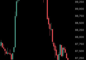 이건 진짜 실화냐: