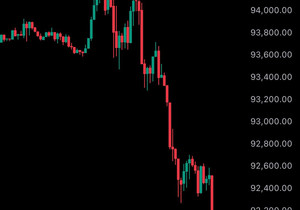 속보) 비트코인 9만2천 달러 밑으로 떨어짐