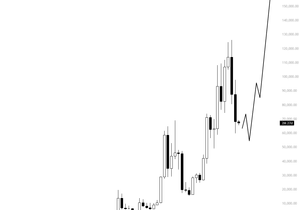 돌이켜보면 비트는 답 나와 있었음. 사람들은 그냥 믿기 싫어했을 뿐