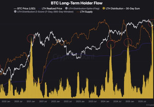 왜 기관들이 수십억 달러어치 비트코인을 사는데도 비트코인 가격은 계속 떨어질까?