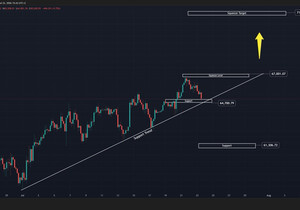 BTC 중기 업데이트