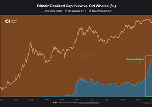 신규 고래들이 비트코인 매집 중