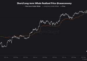 경고: 비트코인이 신규 고래들의 평단에 근접했다.