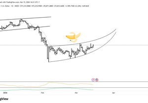 바나나가 갈라진다
