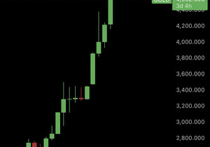금이랑 은 펌핑 중.