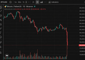 비트코인 1개를 3만 달러에 살 수 있다니 진짜 미쳤다. 🤯