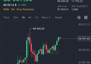 새해까지 BTC가 9만 달러까지 펌핑하면, BTC 2만5천 달러어치를 10명에게 나눠주겠다고 약속했었음.