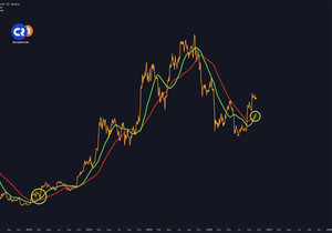 미쳤다: 비트코인이 마지막으로 골든 크로스를 띄웠을 때, 그게 하락장 끝을 알렸음. 이후 $BTC는 500%…