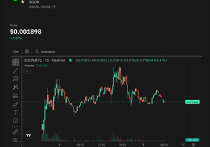 $SOON이 @Satsdaq에서 거래량 장악 중