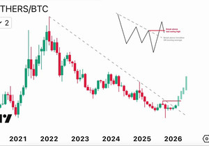 너네 진짜 불장(강세장)이 뭔지 아직 모르는 것 같네.