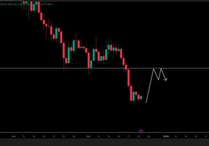 TAO / USD - 업데이트