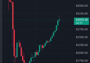내가 비트코인 살렸다