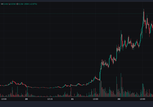 $Snoowball - 진흙탕 판에서 진짜 숨통 트이는 신선한 바람
