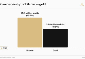 속보: 🇺🇸 미국인 비트코인 보유율 18.6%, 금(10.8%)보다 더 높음 🤯
