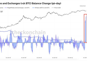 고래들 지금 비트코인 매집 중