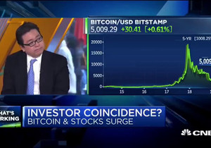 2019년 톰 리, 비트코인에 대해: "대부분의 사람들에겐 BTC에 1%, 많아야 2% 넣는 게 최선이라고 …