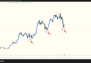 에라 모르겠다. 이번엔 목 내놓고 간다.
