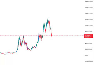 비트코인. 진짜 그렇게 단순한 걸까