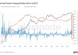 고래들 지금 비트코인 미친 듯이 매집 중