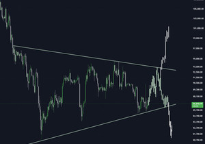 BTC 아직은 시간이 더 필요한 구간 같음.