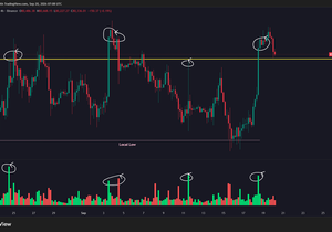 BTC 일요일 업데이트: