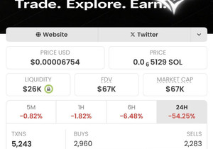 솔라나에서 최근 나온 VOID 보고 있음.