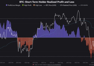 크립토퀀트에 따르면 단기 비트코인 보유자들이 깊은 고통 구간에 있고, 지금 상당수가 평단 아래에서 거래 중.