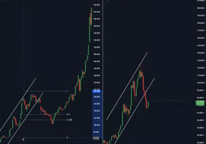 #비트코인은 1970년대 금의 흐름을 따라가는 중.