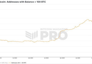 100 BTC 이상 들고 있는 지갑 수가 방금 역대 최고치(ATH) 찍었다.