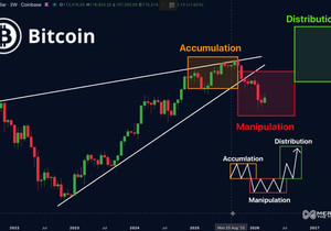 비트코인 방금 개미털기 단계 끝냈다 🔥