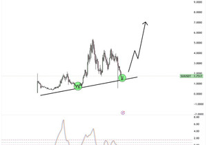 탑 생태계는 ‘완벽한 타이밍’을 기다리지 않는다. 멈추지 않고 빌드한다.