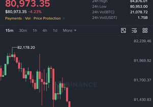 BTC 방금 8.1만 달러 아래로 하락